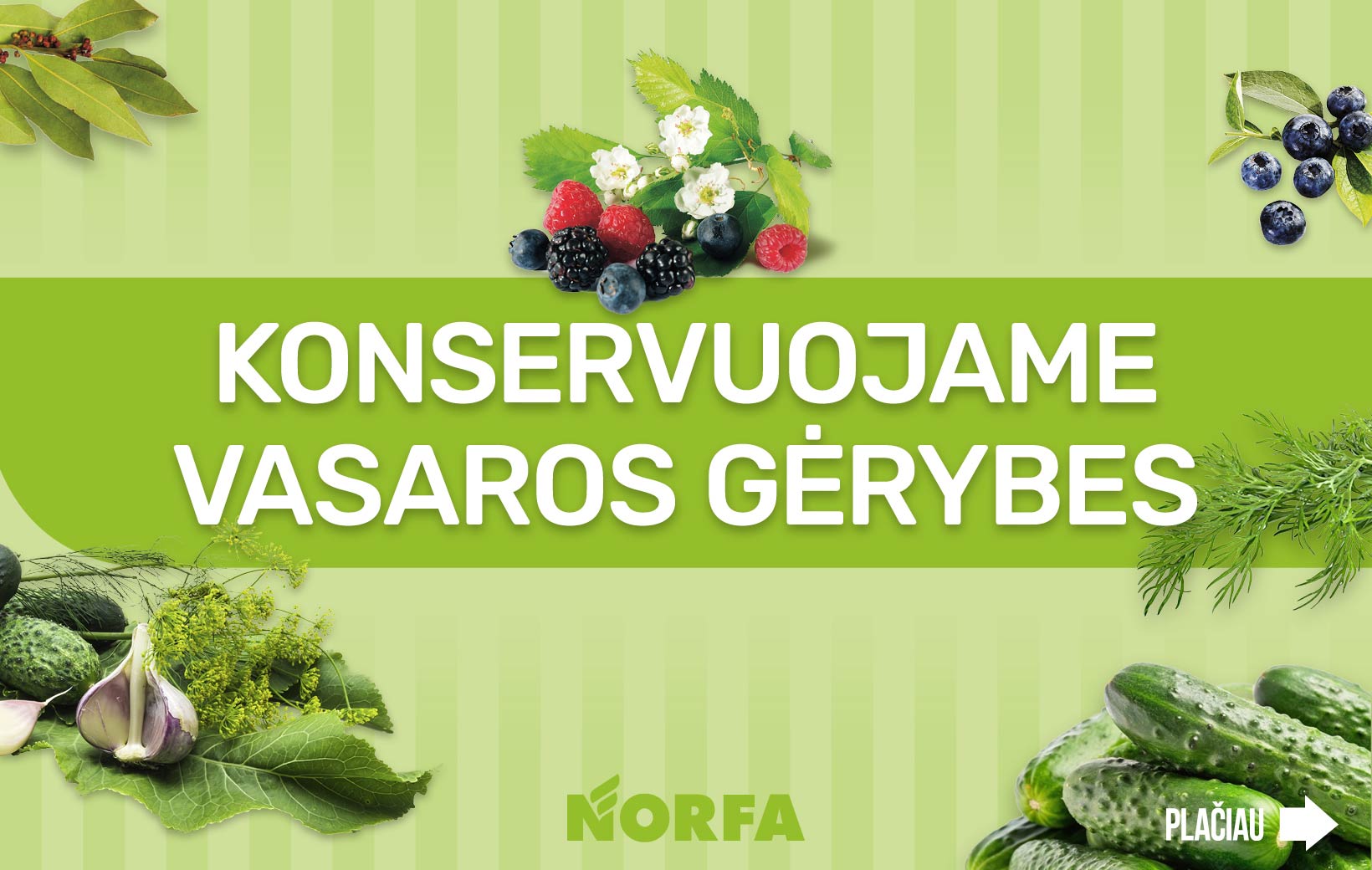 Konservuojame vasaros gėrybes su NORFA