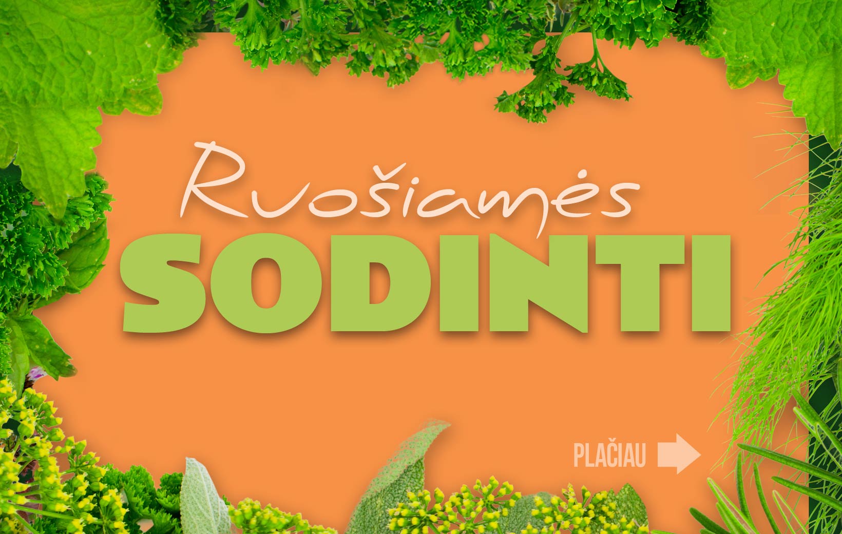 RUOŠIAMĖS SODINTI