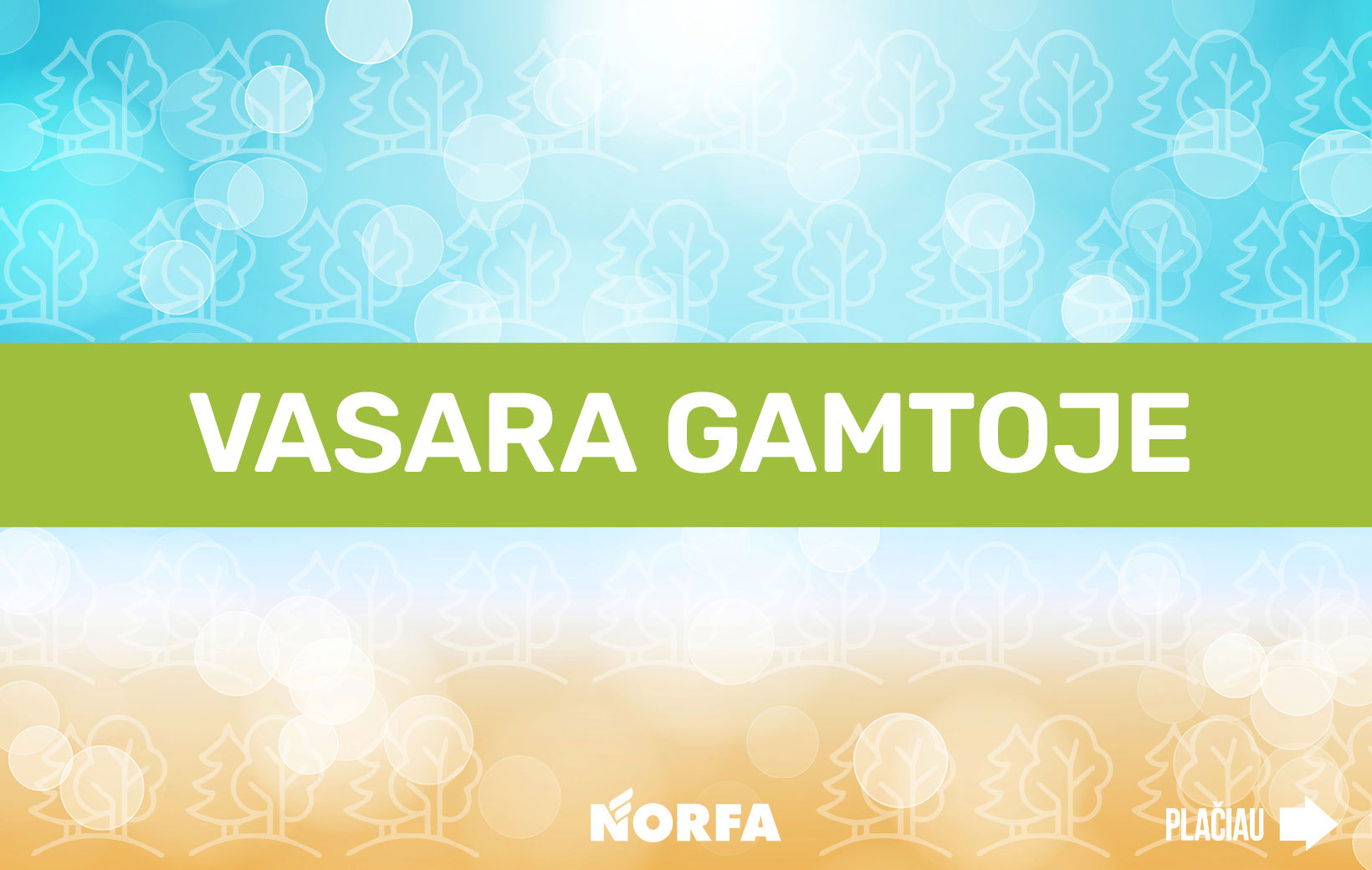 Vasara486 1640x1040 v3
