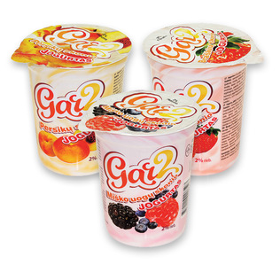 Jogurtas GAR2 (3 rūšių), 400 g