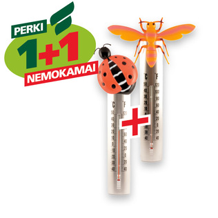 Termometras BORUŽĖ arba VABZDYS, 1 vnt.