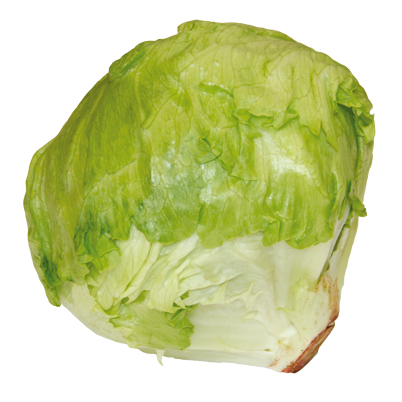 Salotos ICEBERG, 1 vnt.
