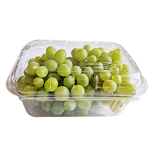 Besėklės vyuogės indelyje, 500 g/pak.