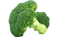 Brokolis, 1 vnt.