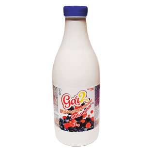 Ger. jogurtas miško uogų skonio GAR2, 1 kg