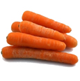 Plautos morkos, 1 kg