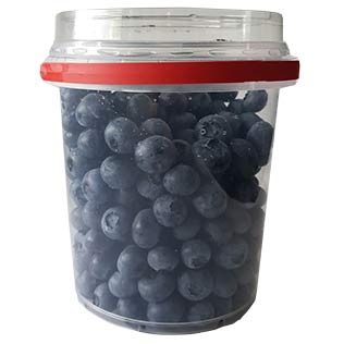 Fasuotos šilauogės, 500 g/pak.